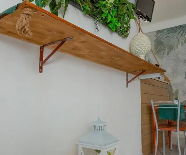 Anime Bed & Breakfast Syracuse