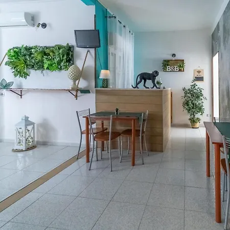 Anime Сиракузы